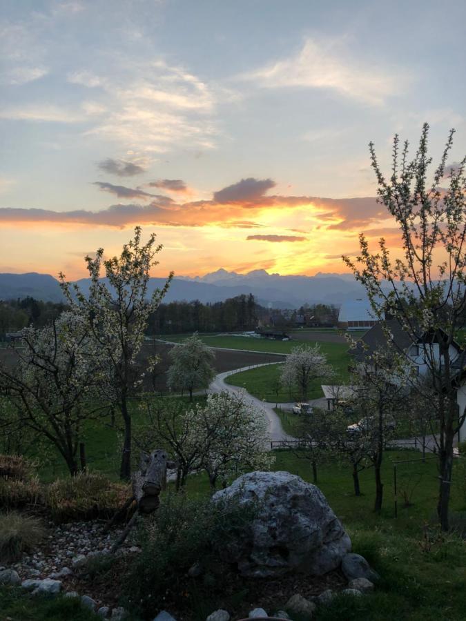 Apartma Romana Spodnji Otok エクステリア 写真